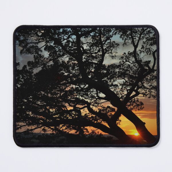 Item preview, Sunset Cedar Tree Silhouette  designed and sold by MailboxJim.