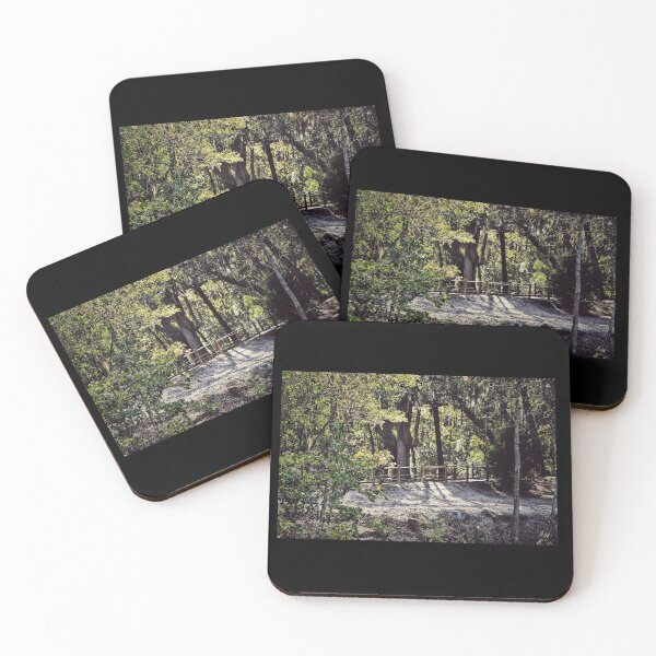 Item preview, Arboretum Bridge designed and sold by Jennifer Phipps.
