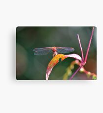 It's Supper Time! Canvas Print