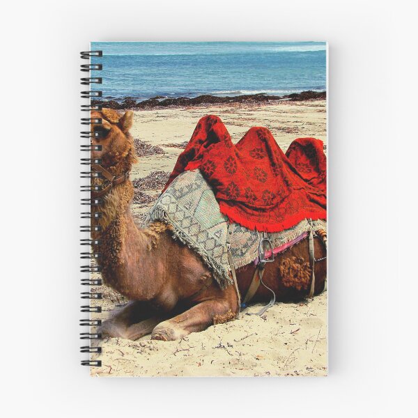 Item preview, camel photo with high resolution quality designed and sold by Allyouneed-2.