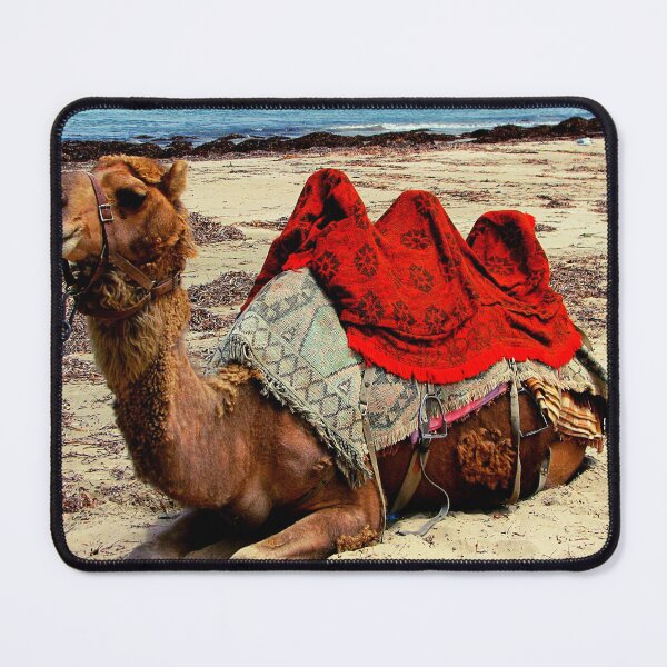 Item preview, camel photo with high resolution quality designed and sold by Allyouneed-2.