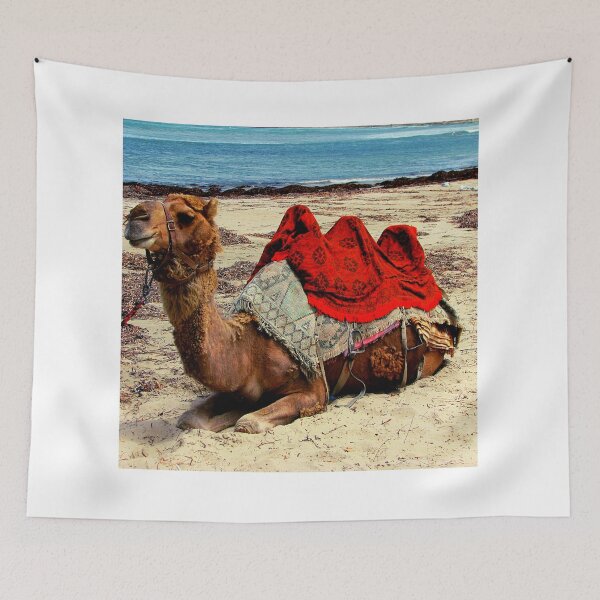 Item preview, camel photo with high resolution quality designed and sold by Allyouneed-2.