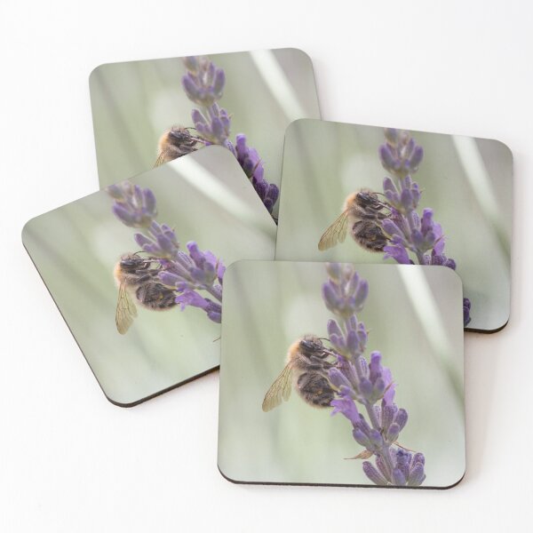 Item preview, Bee gathering lavender flowers with a small beetle designed and sold by BVNaturePhotos.