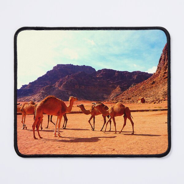 Item preview, camel photo with high resolution quality designed and sold by Allyouneed-2.