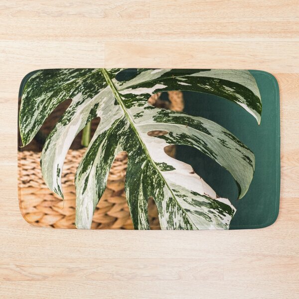 Item preview, Variegated Monstera deliciosa, Albo version. Close up photography.  designed and sold by mhailittlearts.