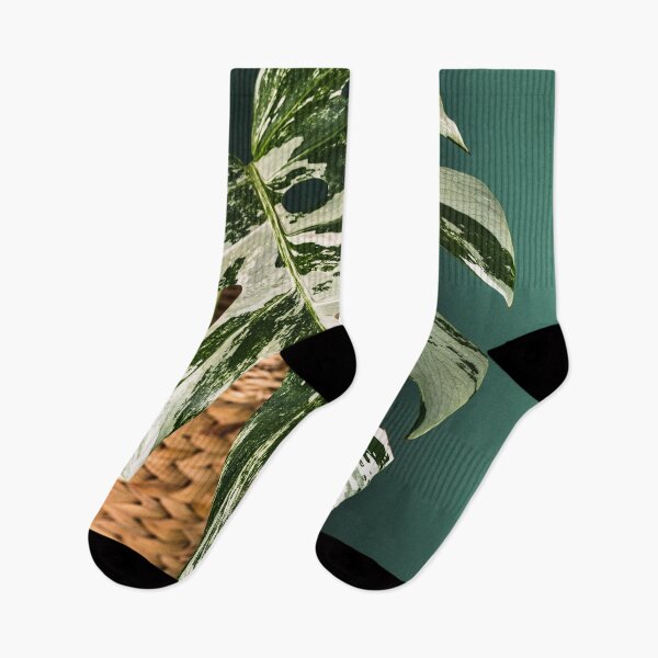 Item preview, Variegated Monstera deliciosa, Albo version. Close up photography.  designed and sold by mhailittlearts.