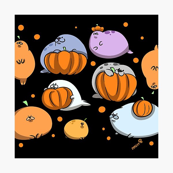 Spooky Season Seals Photographic Print