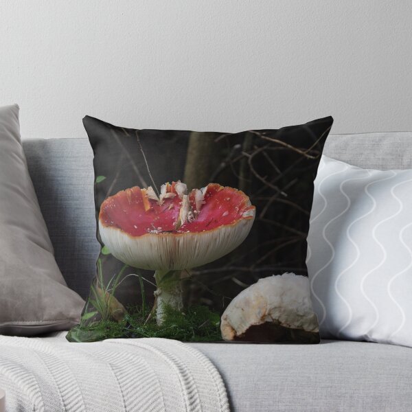Item preview, Mushroom designed and sold by JD-PICS.