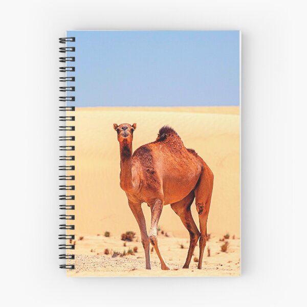 Item preview,  camel photo with high resolution quality designed and sold by Allyouneed-2.