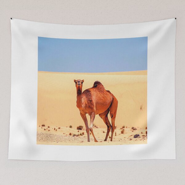 Item preview,  camel photo with high resolution quality designed and sold by Allyouneed-2.