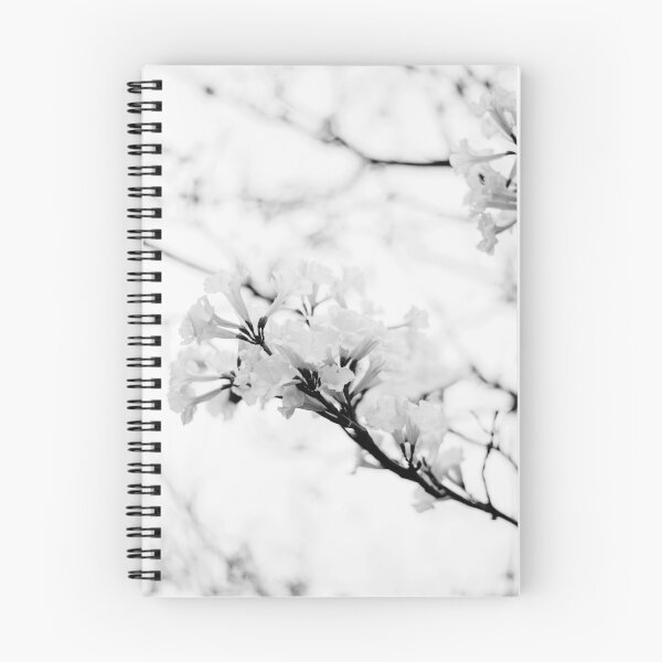 Item preview, Tabebuia roseo-alba - Ype Black and White #1 designed and sold by anafrancisconi.