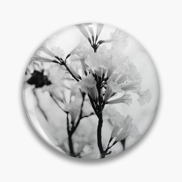 Item preview, Tabebuia roseo-alba - Ype Black and White #2 designed and sold by anafrancisconi.