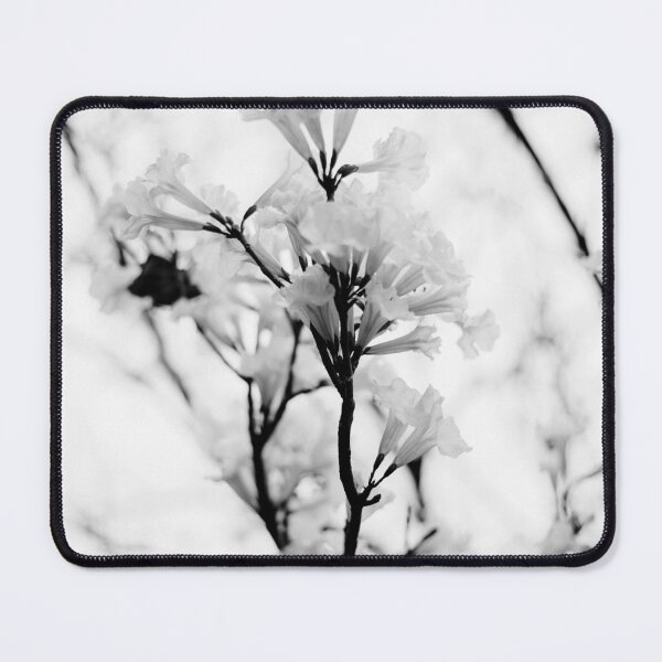 Item preview, Tabebuia roseo-alba - Ype Black and White #2 designed and sold by anafrancisconi.