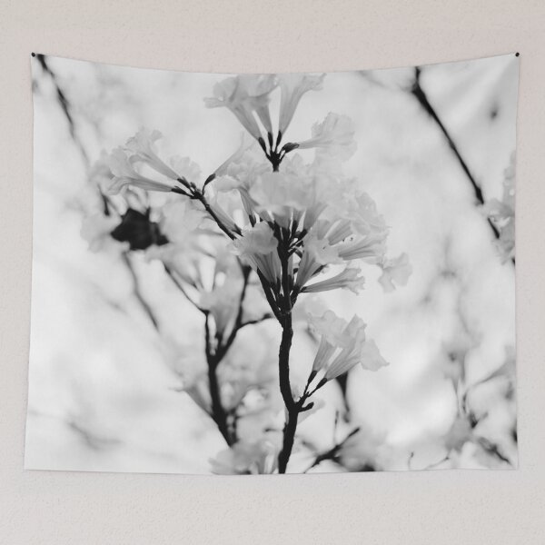 Item preview, Tabebuia roseo-alba - Ype Black and White #2 designed and sold by anafrancisconi.