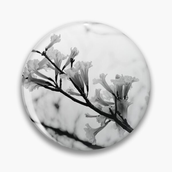 Item preview, Tabebuia roseo-alba - Ype Black and White #3 designed and sold by anafrancisconi.