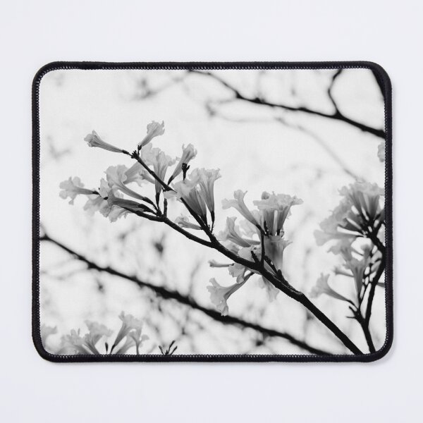 Item preview, Tabebuia roseo-alba - Ype Black and White #3 designed and sold by anafrancisconi.