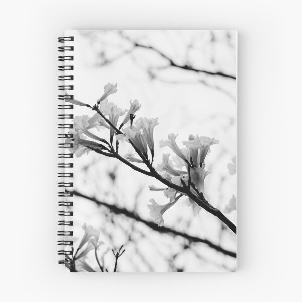 Item preview, Tabebuia roseo-alba - Ype Black and White #3 designed and sold by anafrancisconi.