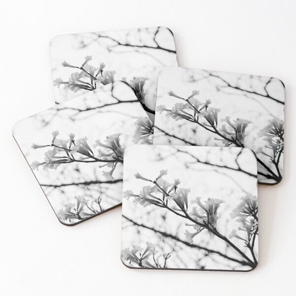 Item preview, Tabebuia roseo-alba - Ype Black and White #3 designed and sold by anafrancisconi.