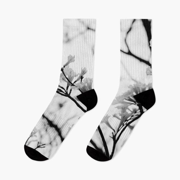 Item preview, Tabebuia roseo-alba - Ype Black and White #3 designed and sold by anafrancisconi.