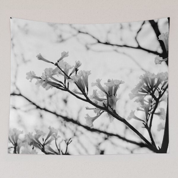 Item preview, Tabebuia roseo-alba - Ype Black and White #3 designed and sold by anafrancisconi.