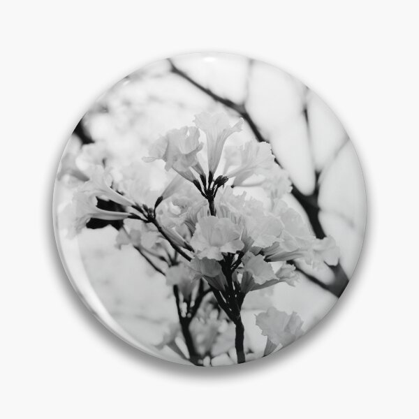 Item preview, Tabebuia roseo-alba - Ype Black and White #4 designed and sold by anafrancisconi.