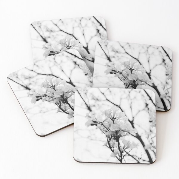 Item preview, Tabebuia roseo-alba - Ype Black and White #4 designed and sold by anafrancisconi.