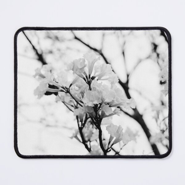 Item preview, Tabebuia roseo-alba - Ype Black and White #4 designed and sold by anafrancisconi.