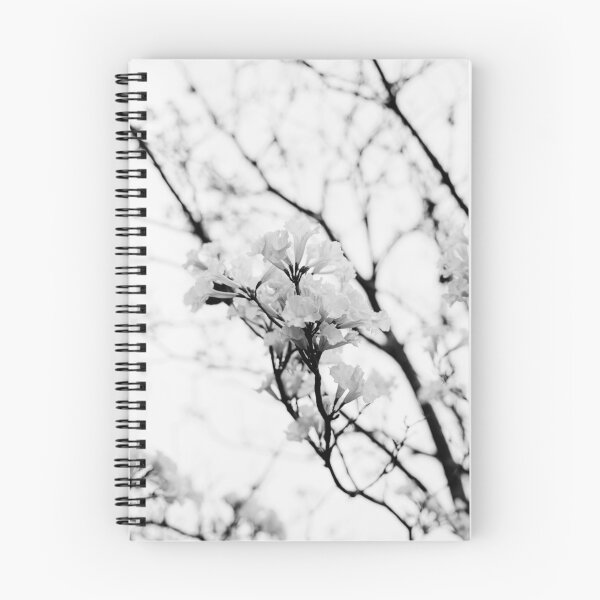 Item preview, Tabebuia roseo-alba - Ype Black and White #4 designed and sold by anafrancisconi.