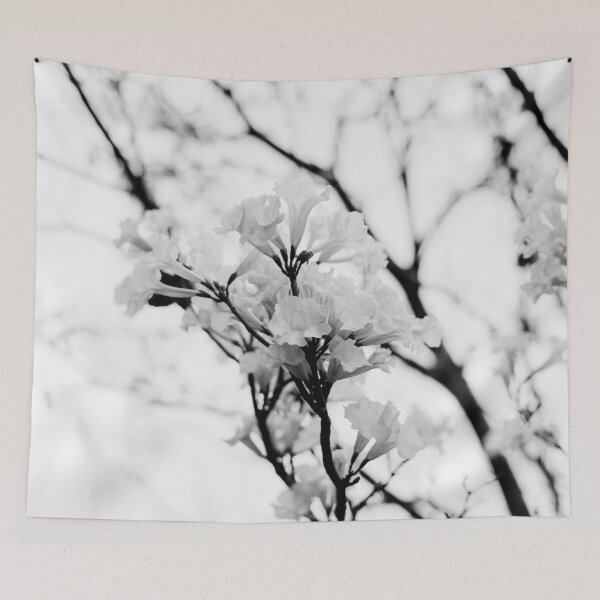 Item preview, Tabebuia roseo-alba - Ype Black and White #4 designed and sold by anafrancisconi.