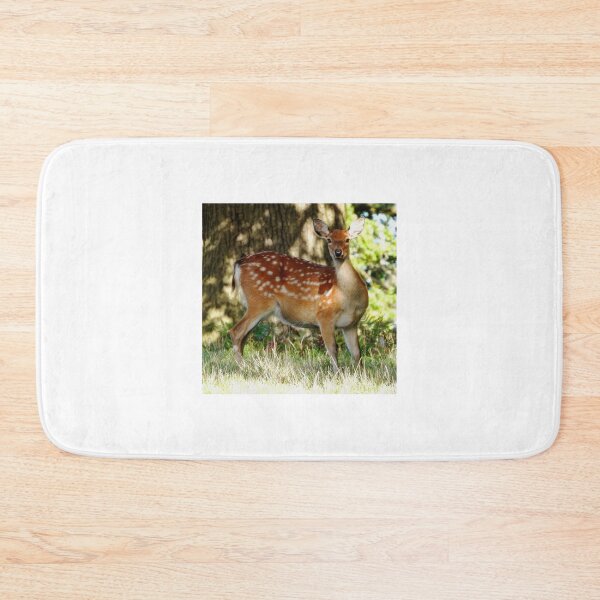 Item preview, A Wonderful Fallow Deer designed and sold by Karen Thomson.