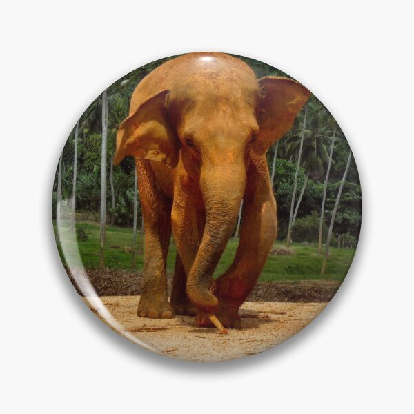 Item preview, STUMPY THE ELEPHANT. designed and sold by ronsaunders47.