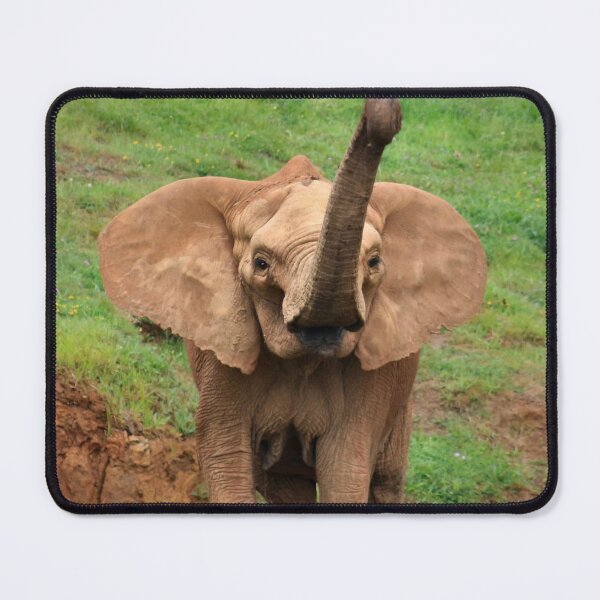 Item preview, Magnificent matriarch designed and sold by missmoneypenny.