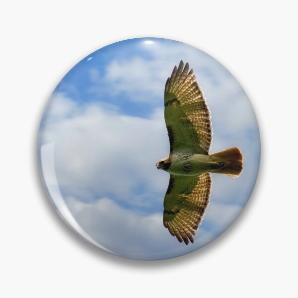 Item preview, Red-tailed Hawk In Flight designed and sold by Thymely.