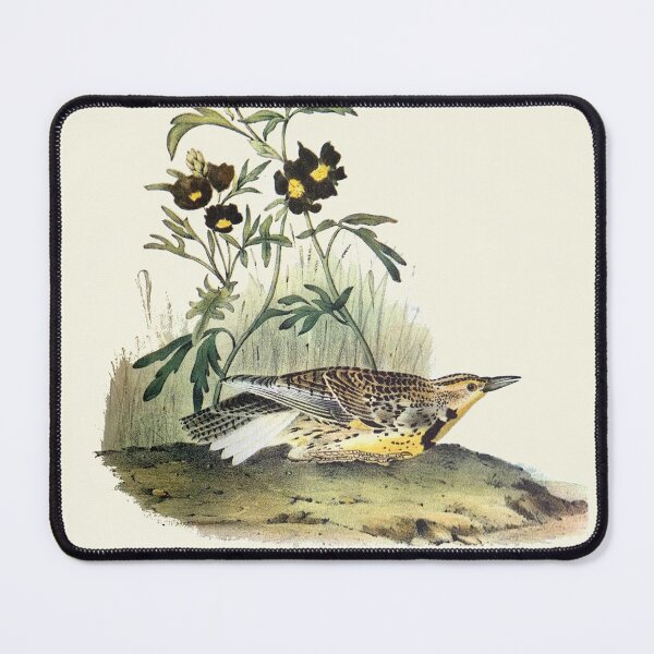 Item preview, Western Meadowlark - Audubon designed and sold by sanerevolution.