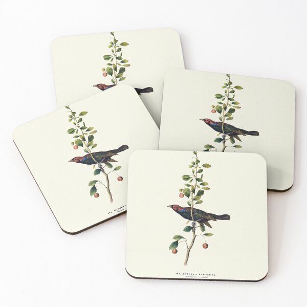 Item preview, Brewer's Blackbird - Audubon designed and sold by sanerevolution.
