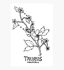 Floral Constellation - Taurus Photographic Print