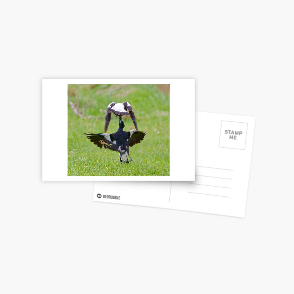 Item preview, Postcard designed and sold by tasmanianartist.