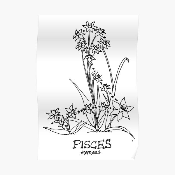 Floral Constellation - Pisces Poster