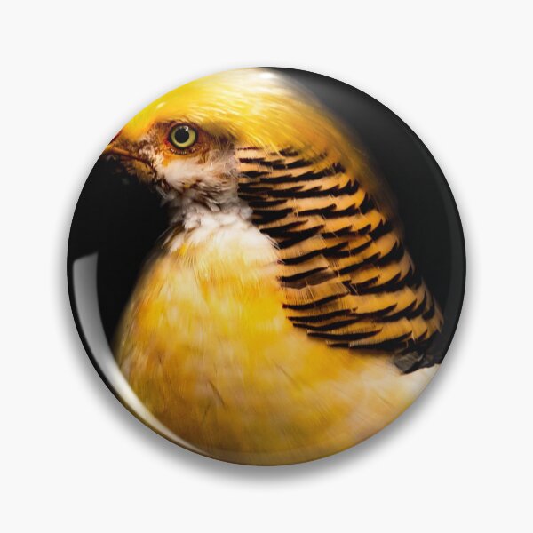 Item preview, Solid Gold designed and sold by RichardSayer.