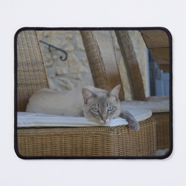 Item preview, Blue Point Siamese Cat designed and sold by RumRagephotos.