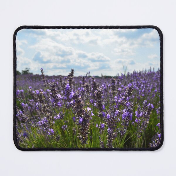 Item preview, Fields of Lavender  designed and sold by RumRagephotos.