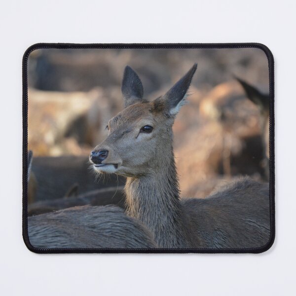 Item preview, Deer in the crowd designed and sold by RumRagephotos.