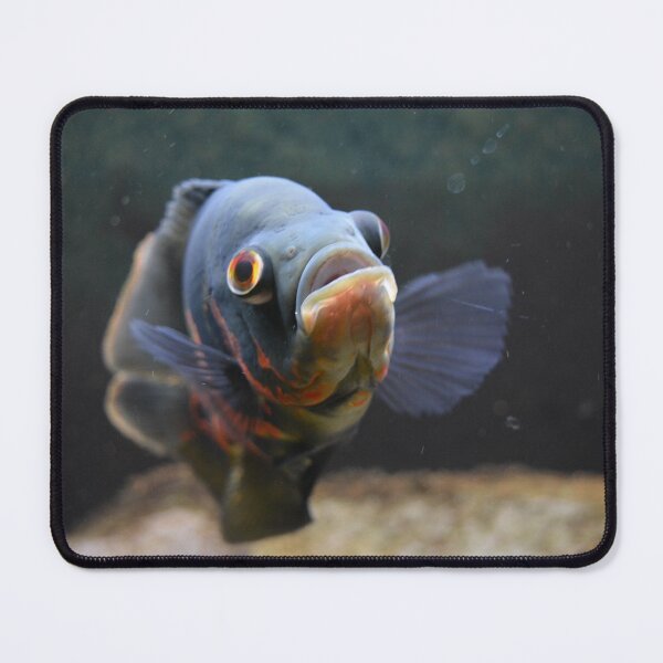 Item preview, Tiger Oscar Cichlid designed and sold by RumRagephotos.
