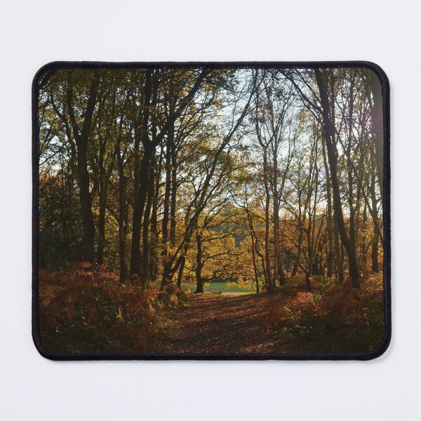 Item preview, Autumn in the park designed and sold by RumRagephotos.