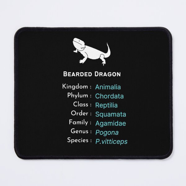 Item preview, Bearded dragon Lover B'day gift | Pogona Lizard keeper present designed and sold by OleeVO.