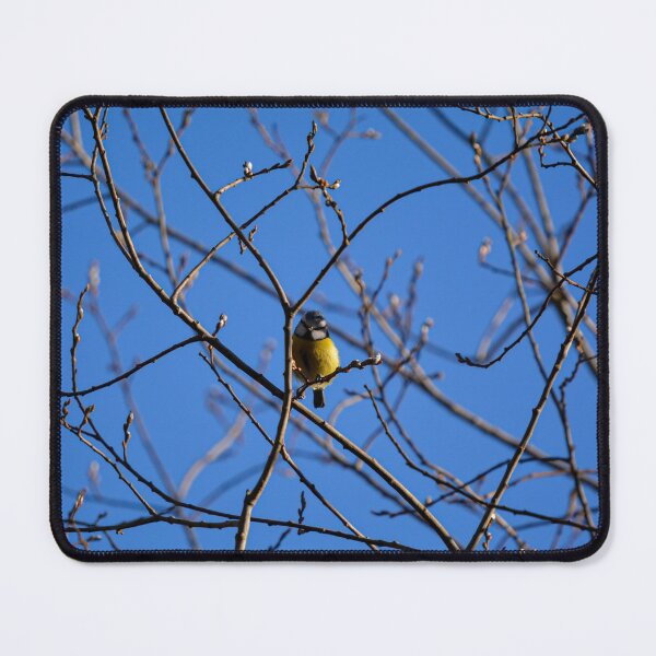 Item preview, Blue Tit bird in a tree designed and sold by RumRagephotos.