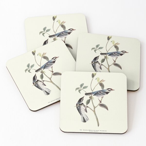 Item preview, Black-throated Gray Warbler - Audubon designed and sold by sanerevolution.
