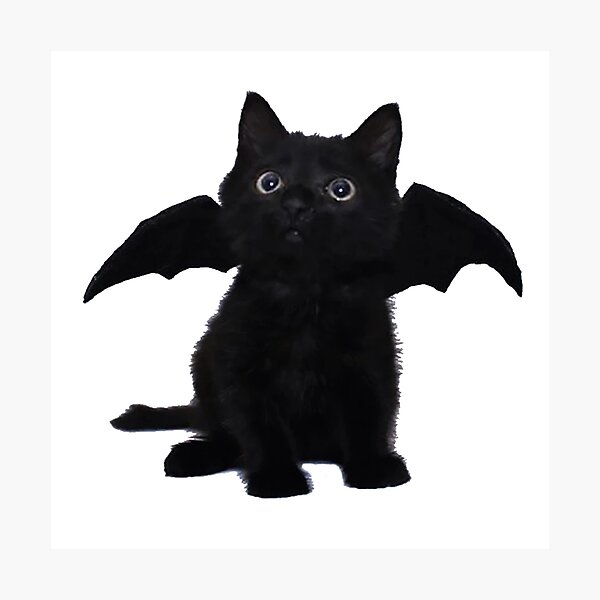 Item preview, Black Kitten With Bat Wings designed and sold by Marcinho1605.