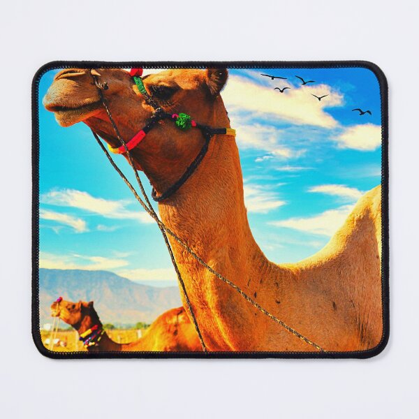 Item preview,  camel photo with high resolution quality designed and sold by Allyouneed-2.