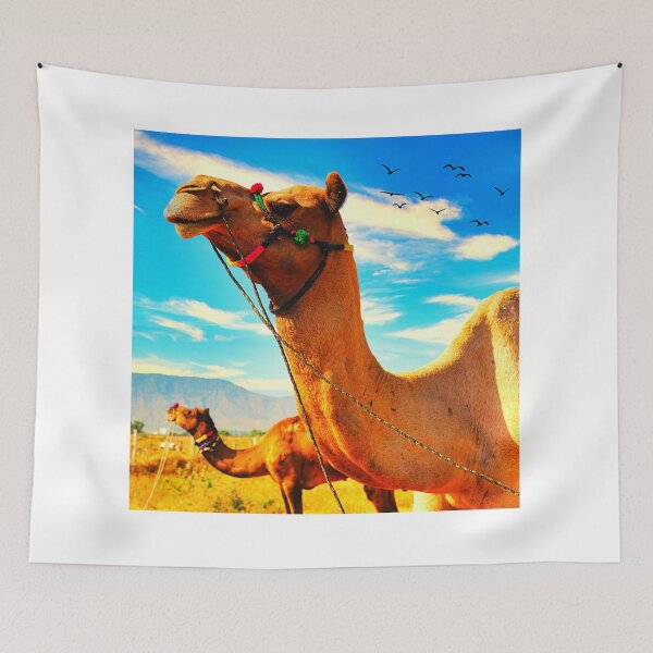Item preview,  camel photo with high resolution quality designed and sold by Allyouneed-2.